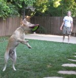 Mike and Miguel playing frisbee
