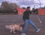 Mike walking without assistance from guide dog