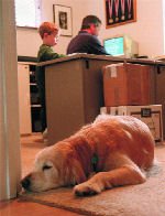 Josh sleeping in the doorway of Mike's home office
